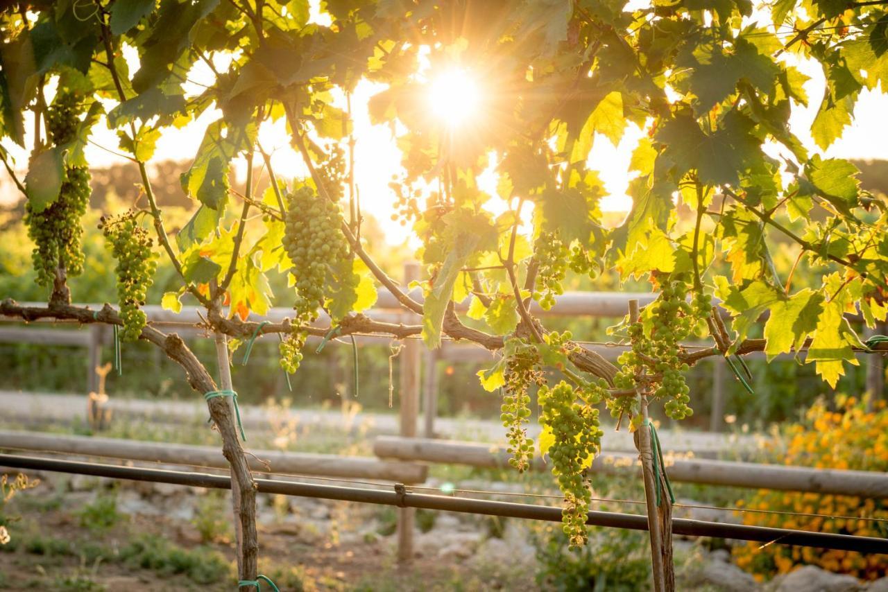 Agriturismo Vigna Corallo Otranto Buitenkant foto