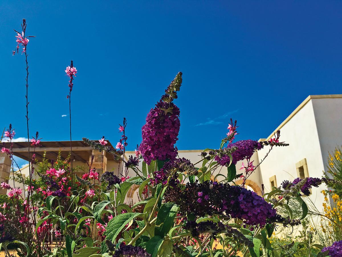 Agriturismo Vigna Corallo Otranto Buitenkant foto